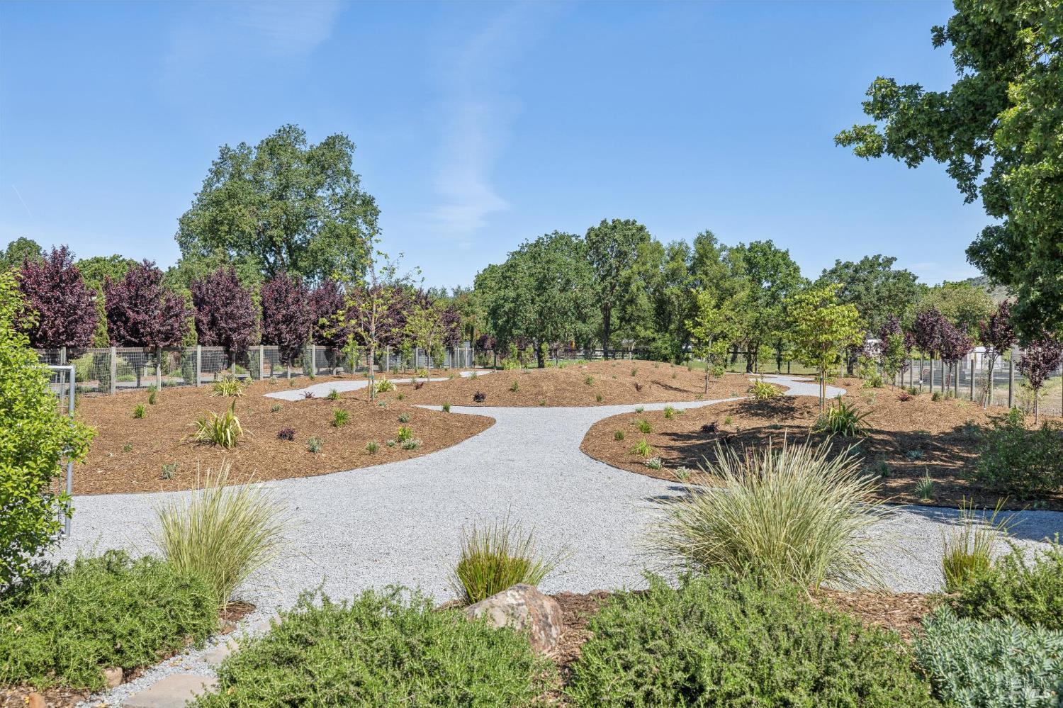 21117 Burndale Road Sonoma, CA 95476 - Photo 33 of 48 a view of a swimming pool with a patio