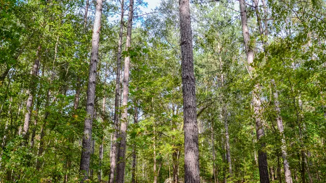 $866,792 | 0 Old Buncombe Road, Union, SC 29379