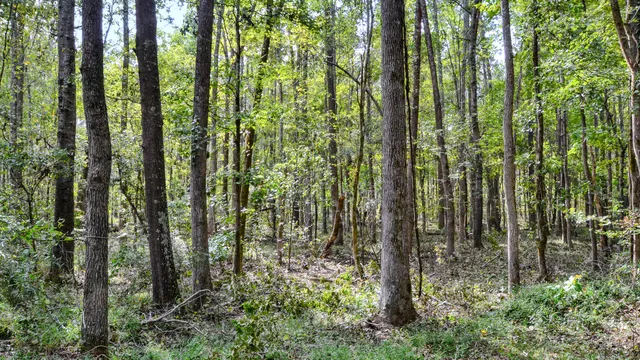 $866,792 | 0 Old Buncombe Road, Union, SC 29379