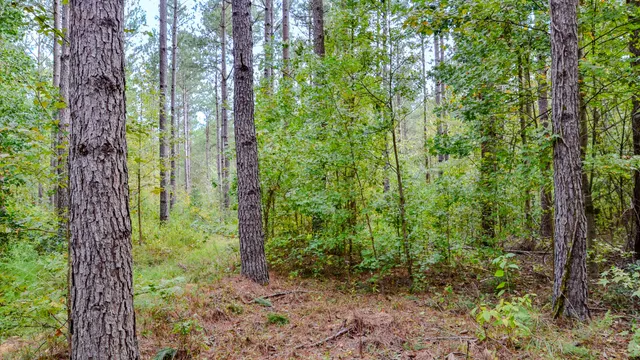 $866,792 | 0 Old Buncombe Road, Union, SC 29379