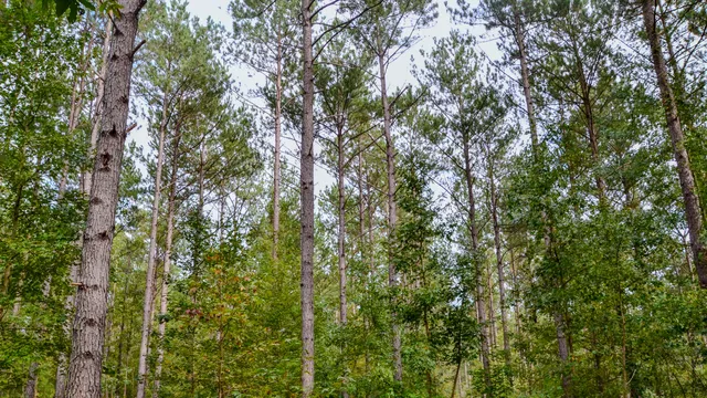 $866,792 | 0 Old Buncombe Road, Union, SC 29379