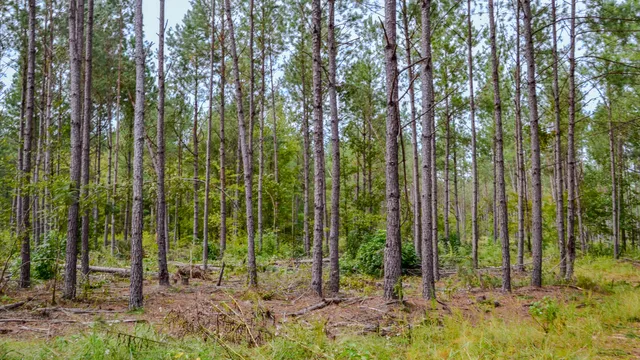 $866,792 | 0 Old Buncombe Road, Union, SC 29379