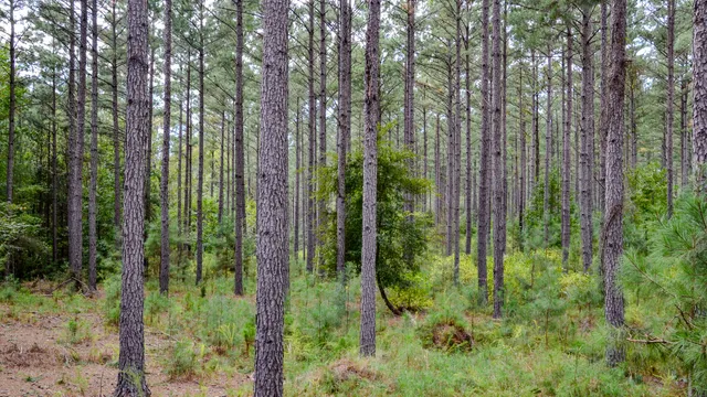 $866,792 | 0 Old Buncombe Road, Union, SC 29379