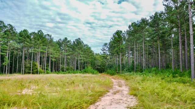 $866,792 | 0 Old Buncombe Road, Union, SC 29379