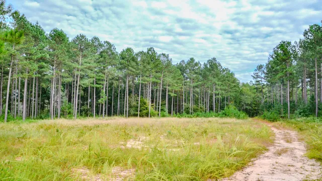 $866,792 | 0 Old Buncombe Road, Union, SC 29379