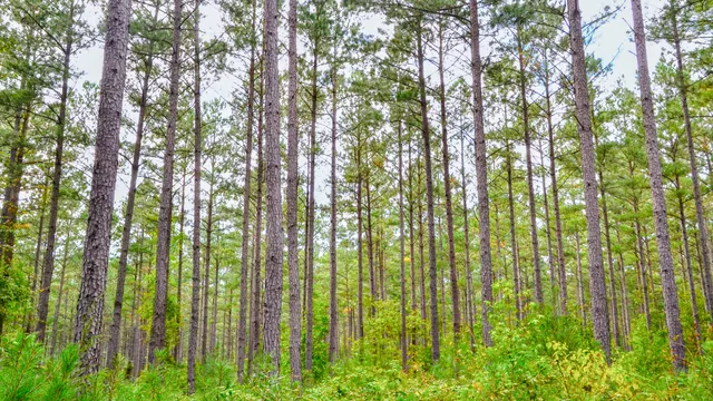 $866,792 | 0 Old Buncombe Road, Union, SC 29379