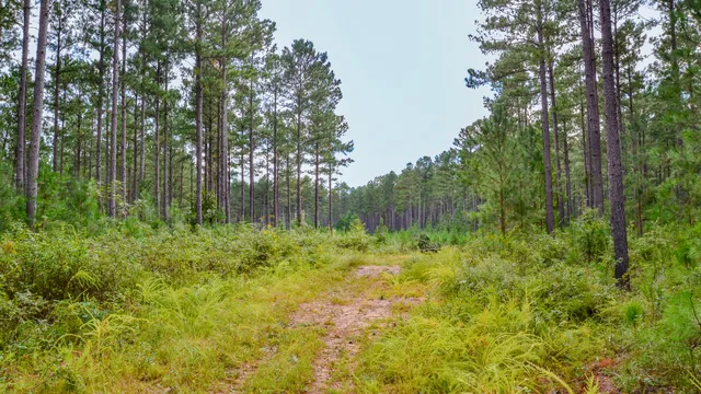 $866,792 | 0 Old Buncombe Road, Union, SC 29379