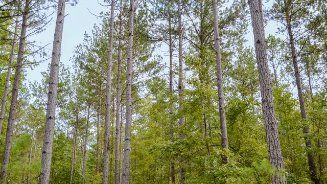 $866,792 | 0 Old Buncombe Road, Union, SC 29379