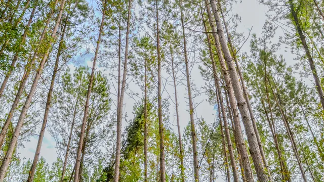 $866,792 | 0 Old Buncombe Road, Union, SC 29379