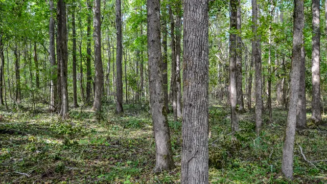 $866,792 | 0 Old Buncombe Road, Union, SC 29379