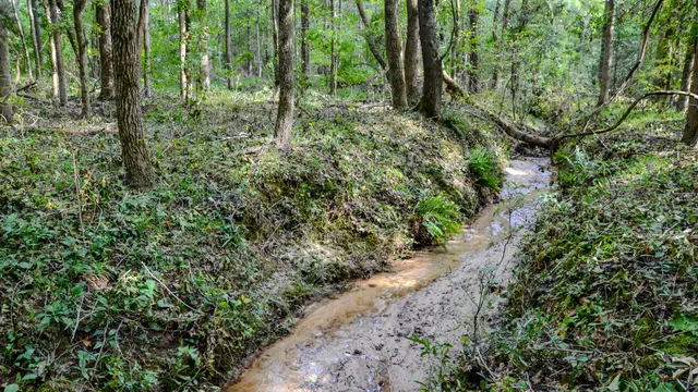 $866,792 | 0 Old Buncombe Road, Union, SC 29379