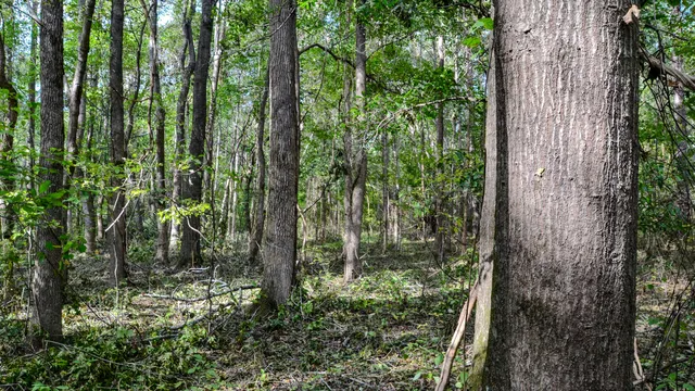 $866,792 | 0 Old Buncombe Road, Union, SC 29379