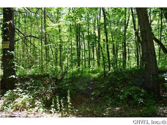 0 Luther Road West Monroe, NY 13167 - Photo 1 of 1 Land. This land is at the end of Luther Road on th