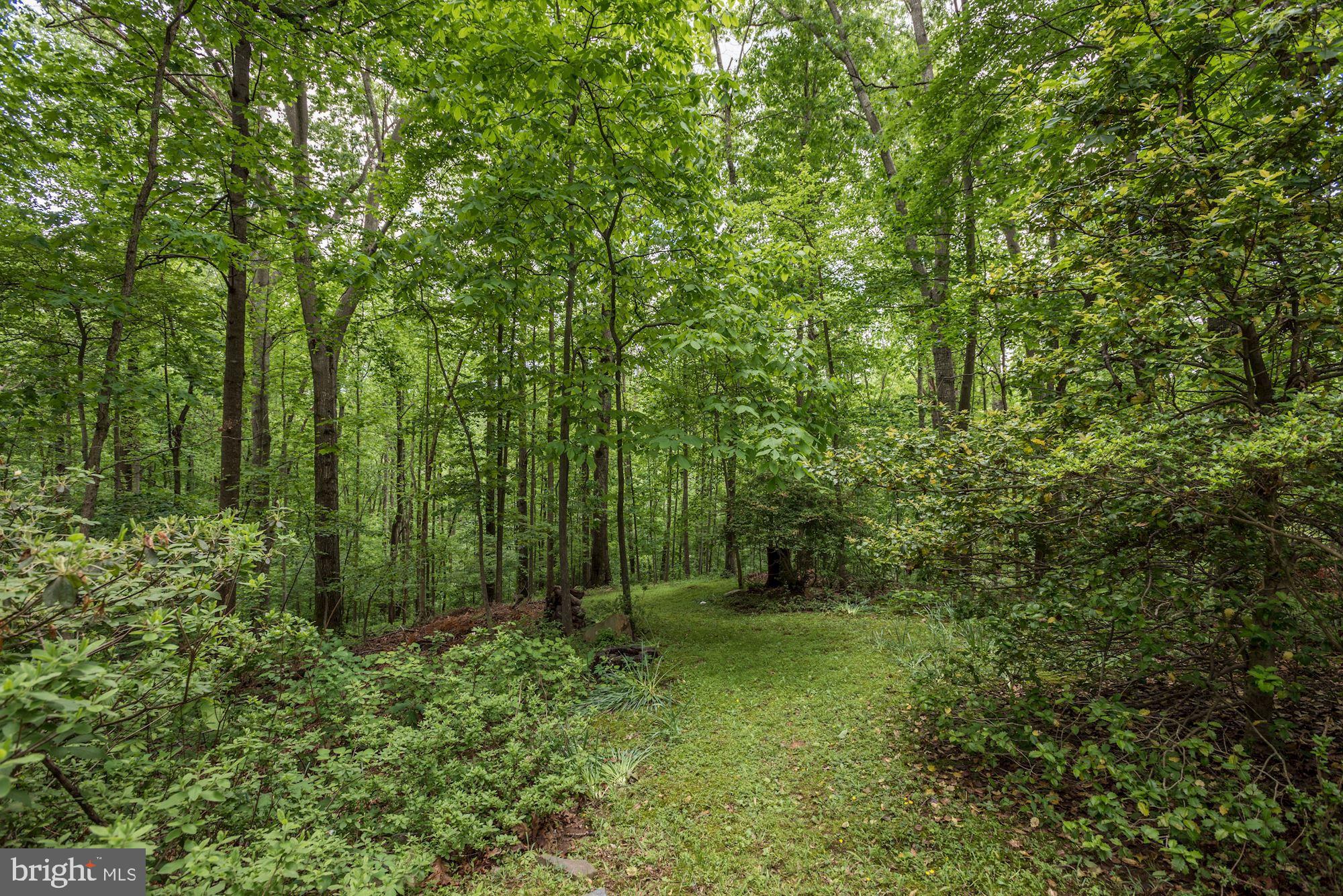 10715 Midsummer Drive Reston, VA 20191 - Photo 3 of 43 Rare Opportunity to Make This YOUR DREAM HOME!
