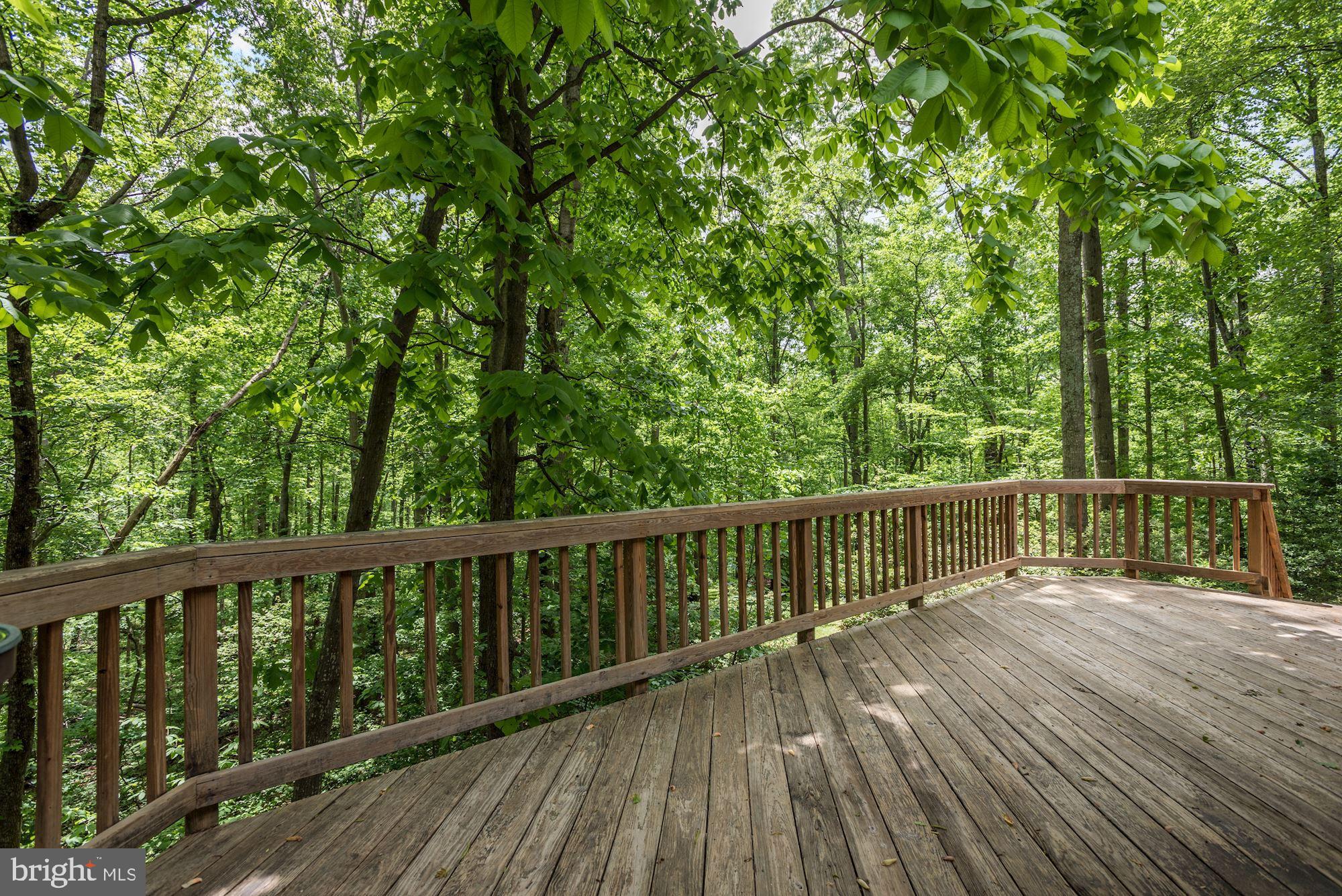 10715 Midsummer Drive Reston, VA 20191 - Photo 31 of 43 Fantastic Deck Area!