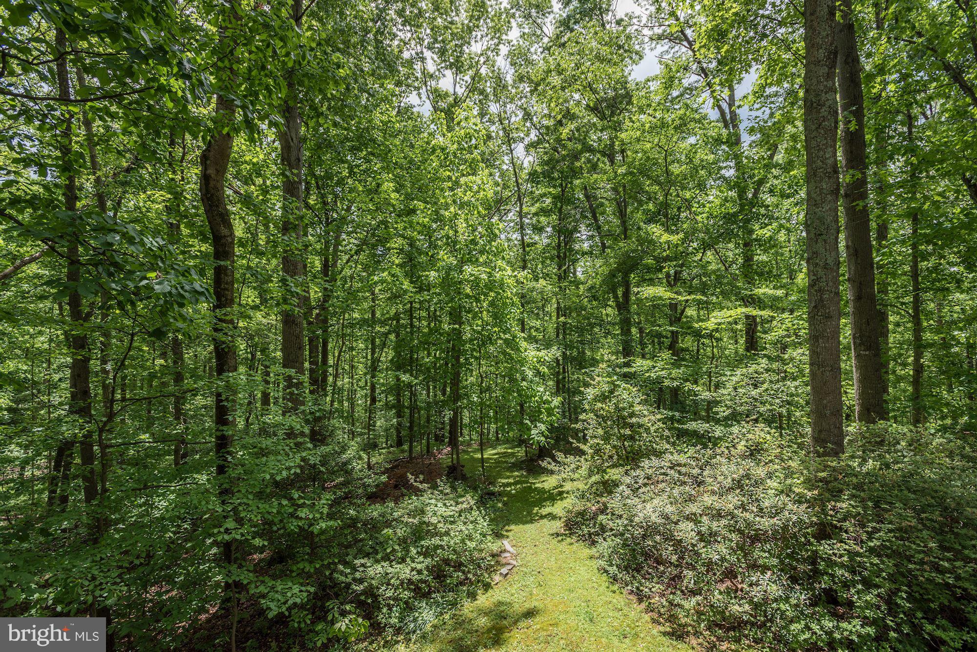 10715 Midsummer Drive Reston, VA 20191 - Photo 33 of 43 You Must See This VIEW