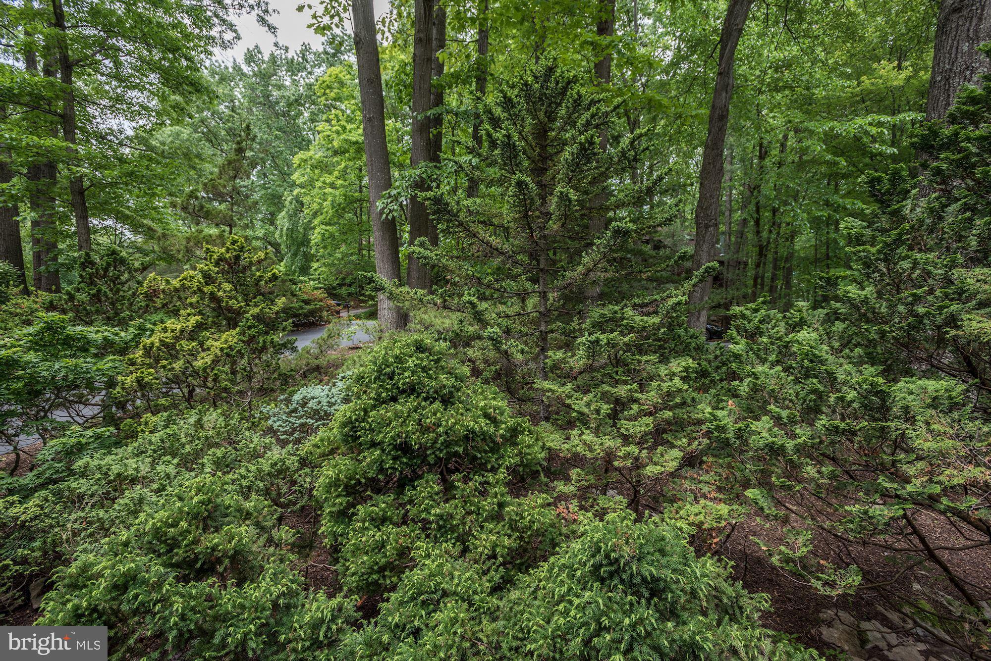 10715 Midsummer Drive Reston, VA 20191 - Photo 36 of 43