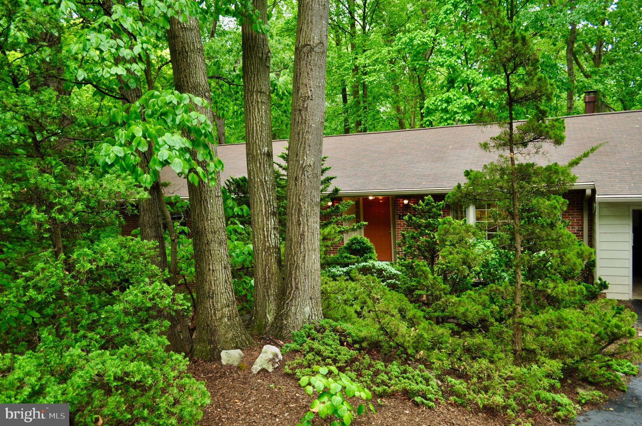 10715 Midsummer Drive Reston, VA 20191 - Photo 7 of 43 Tucked Away in a Fairytale Setting