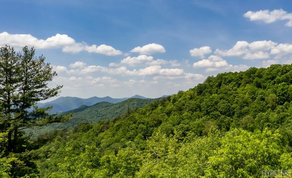 307 Old Bear Ridge Road Scaly Mountain, NC 28775 - Photo 5 of 11 Gallery Image 5