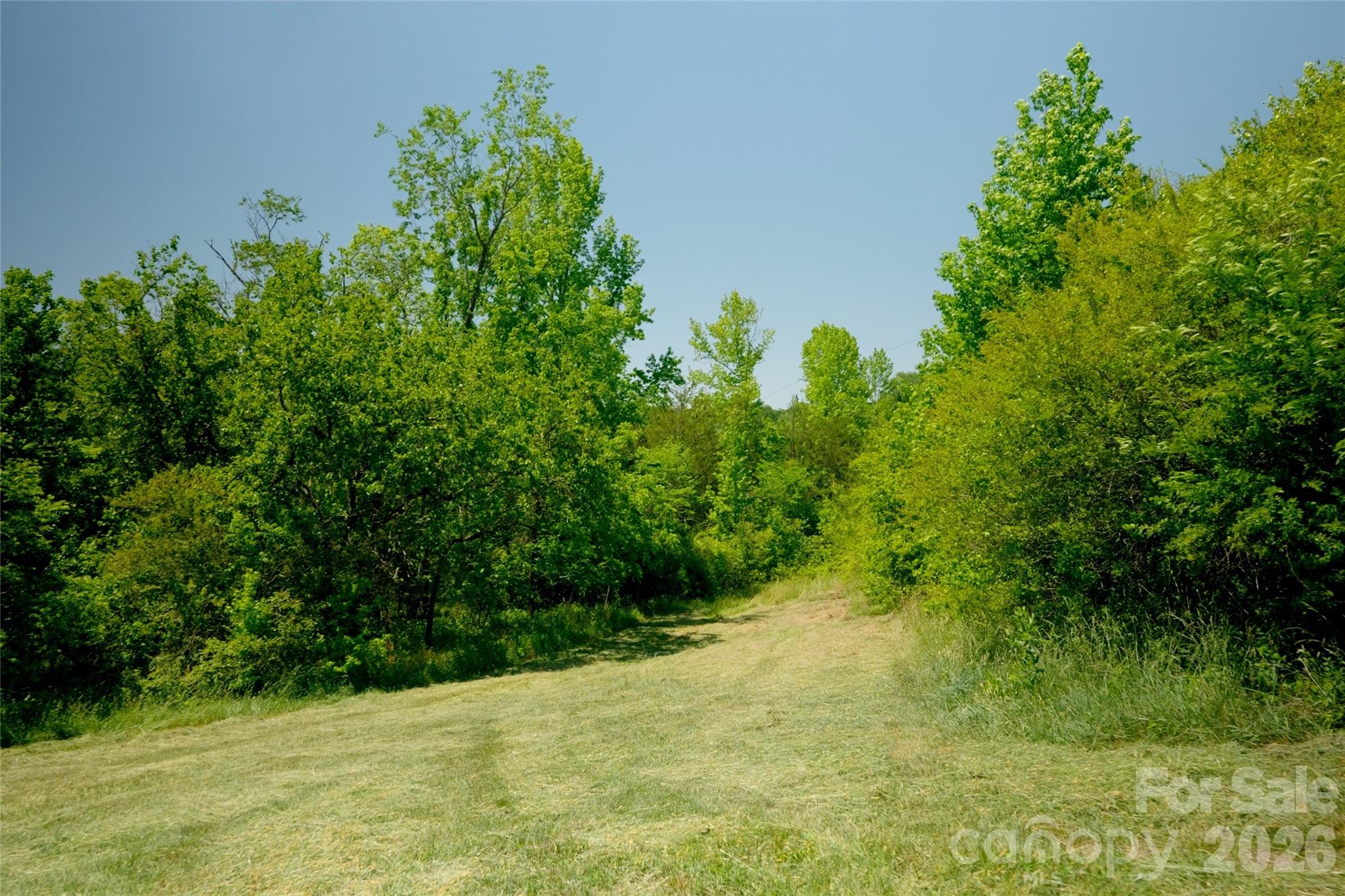 3 Morrison Road, Unit 3 Morganton, NC 28655 - Photo 4 of 11
