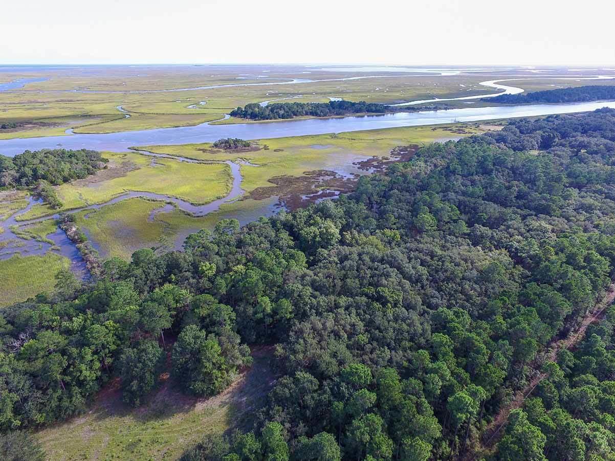 933 Dupre Road McClellanville, SC 29458 - Photo 1 of 17 PalmettoPlantation-5
