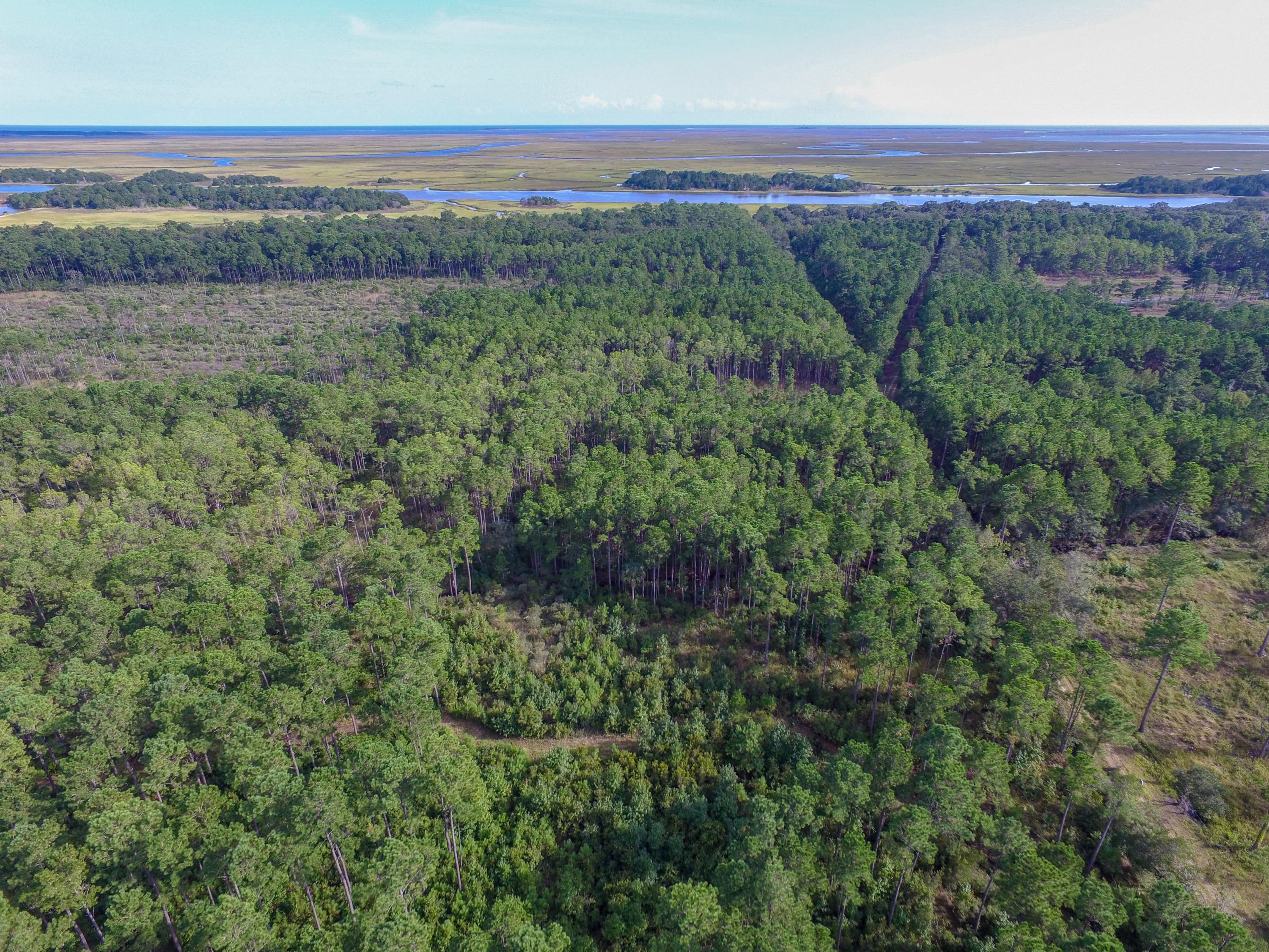 933 Dupre Road McClellanville, SC 29458 - Photo 6 of 17 DJI_0020-2