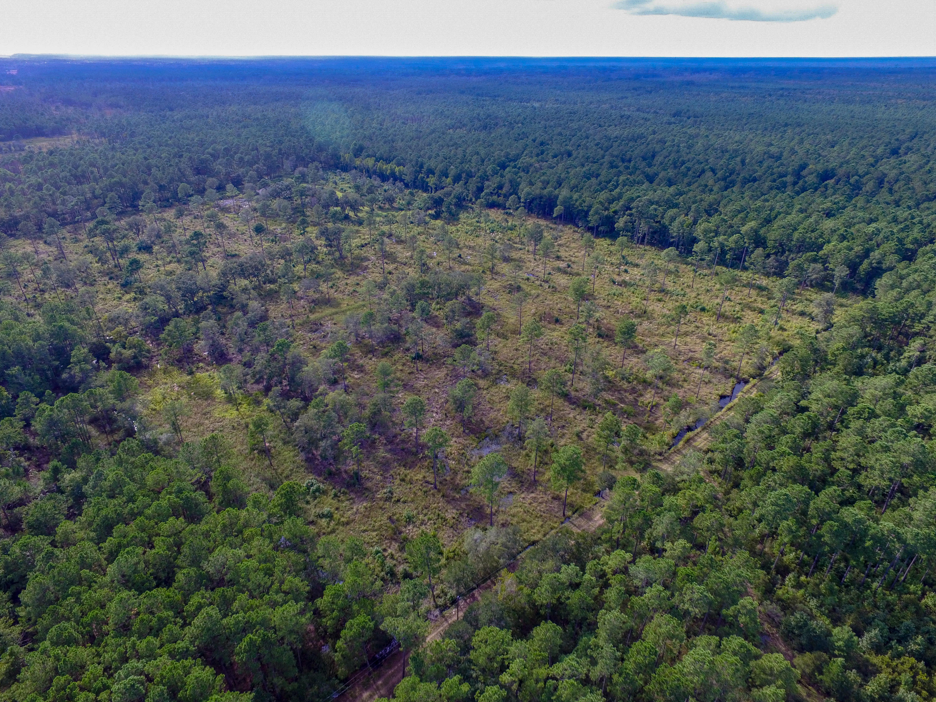 933 Dupre Road McClellanville, SC 29458 - Photo 7 of 17 DJI_0025-2