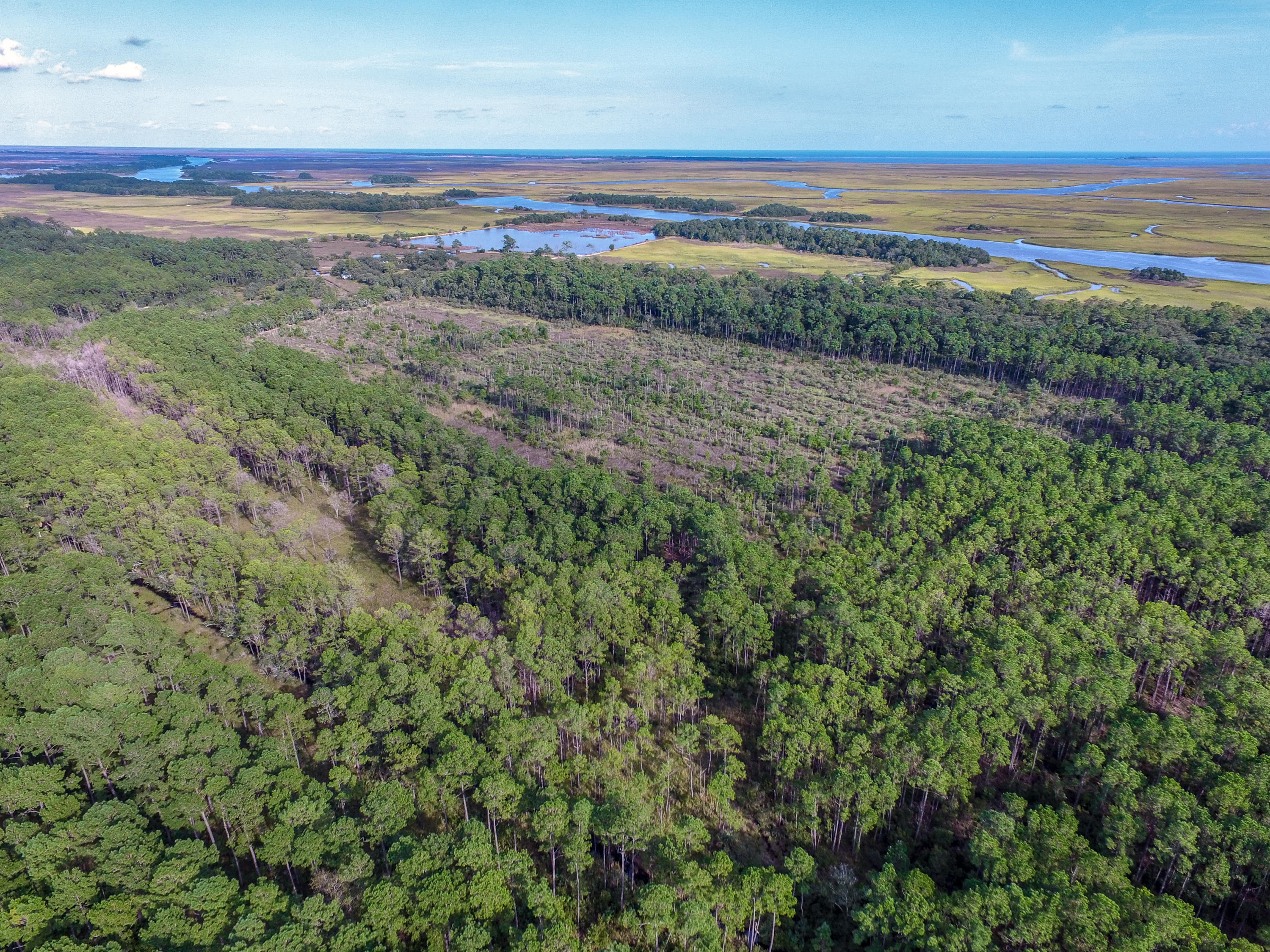 933 Dupre Road McClellanville, SC 29458 - Photo 8 of 17 DJI_0028-2
