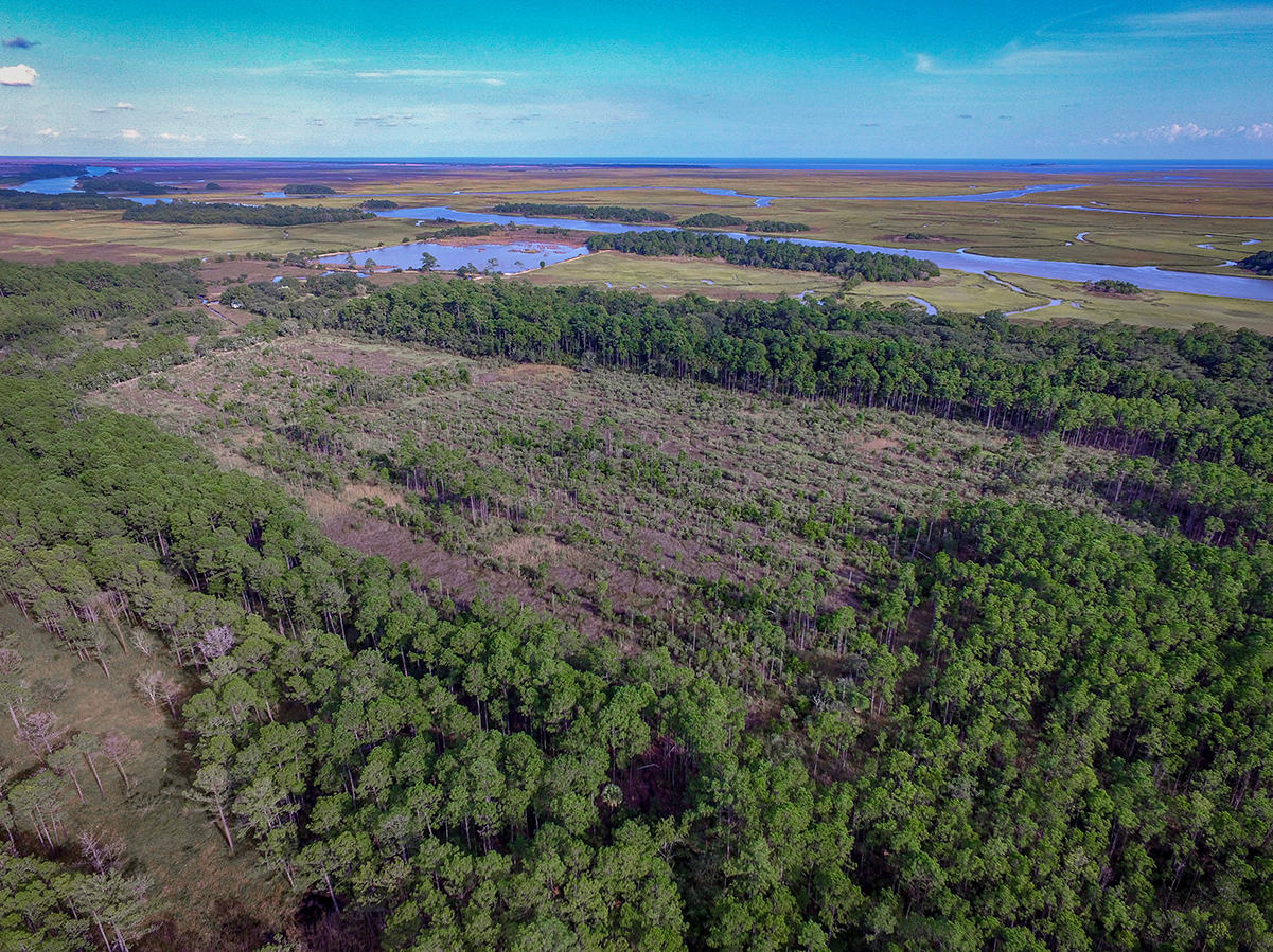 933 Dupre Road McClellanville, SC 29458 - Photo 9 of 17 DJI_0029-2