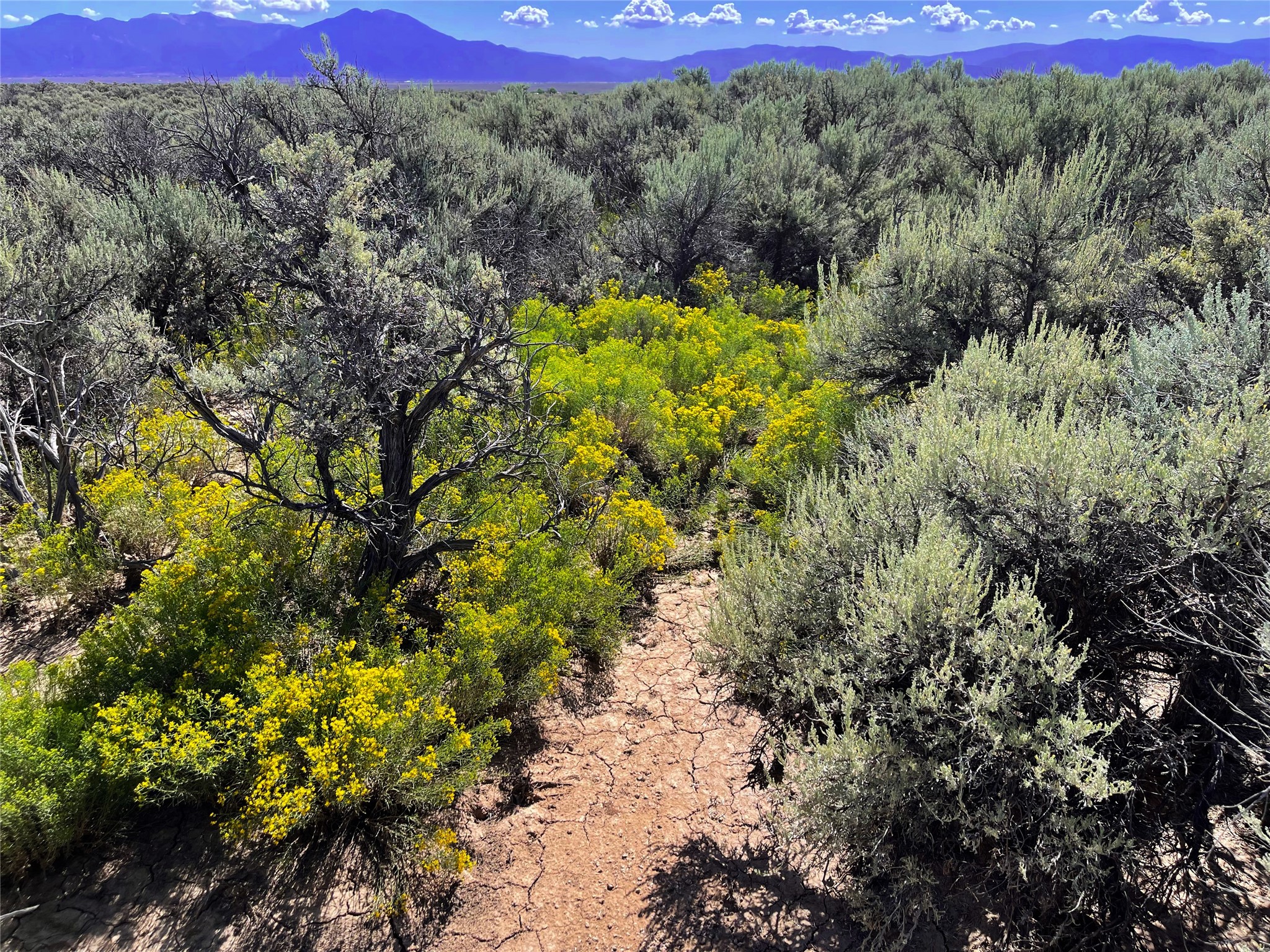 Xx Xx Rim Road Carson, NM 87517 - Photo 3 of 4