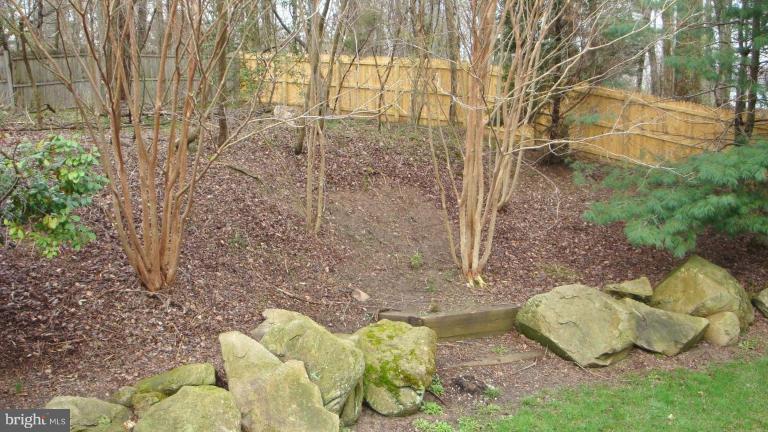 15808 Radwick Lane Silver Spring, MD 20906 - Photo 19 of 24 Back yard