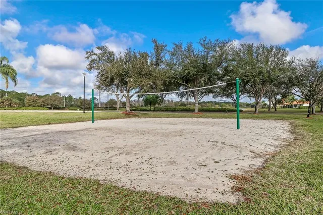 a view of a park with large trees