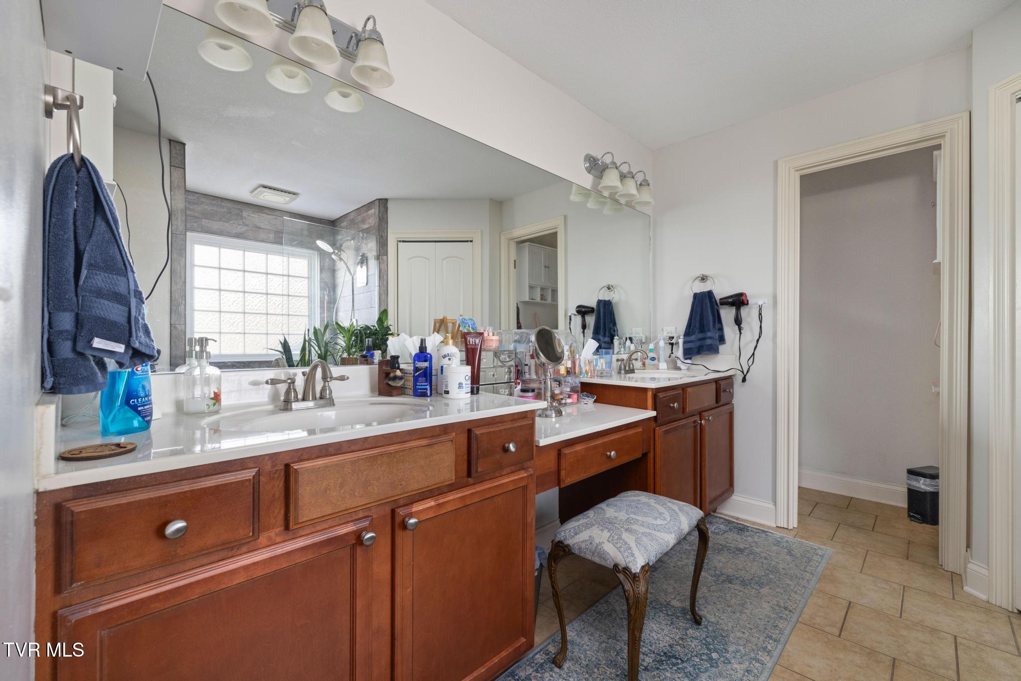 290 Telford New Victory Road Telford, TN 37690 - Photo 18 of 46 Primary bathroom