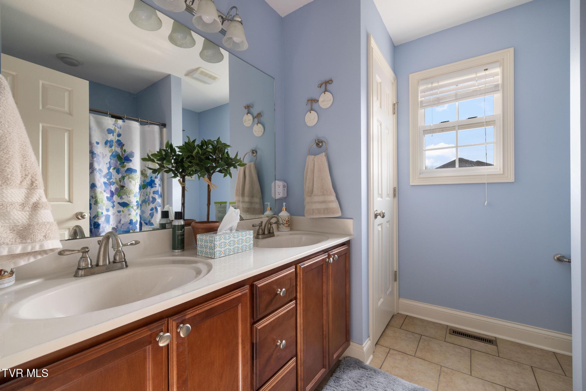 290 Telford New Victory Road Telford, TN 37690 - Photo 21 of 46 Full bathroom 2