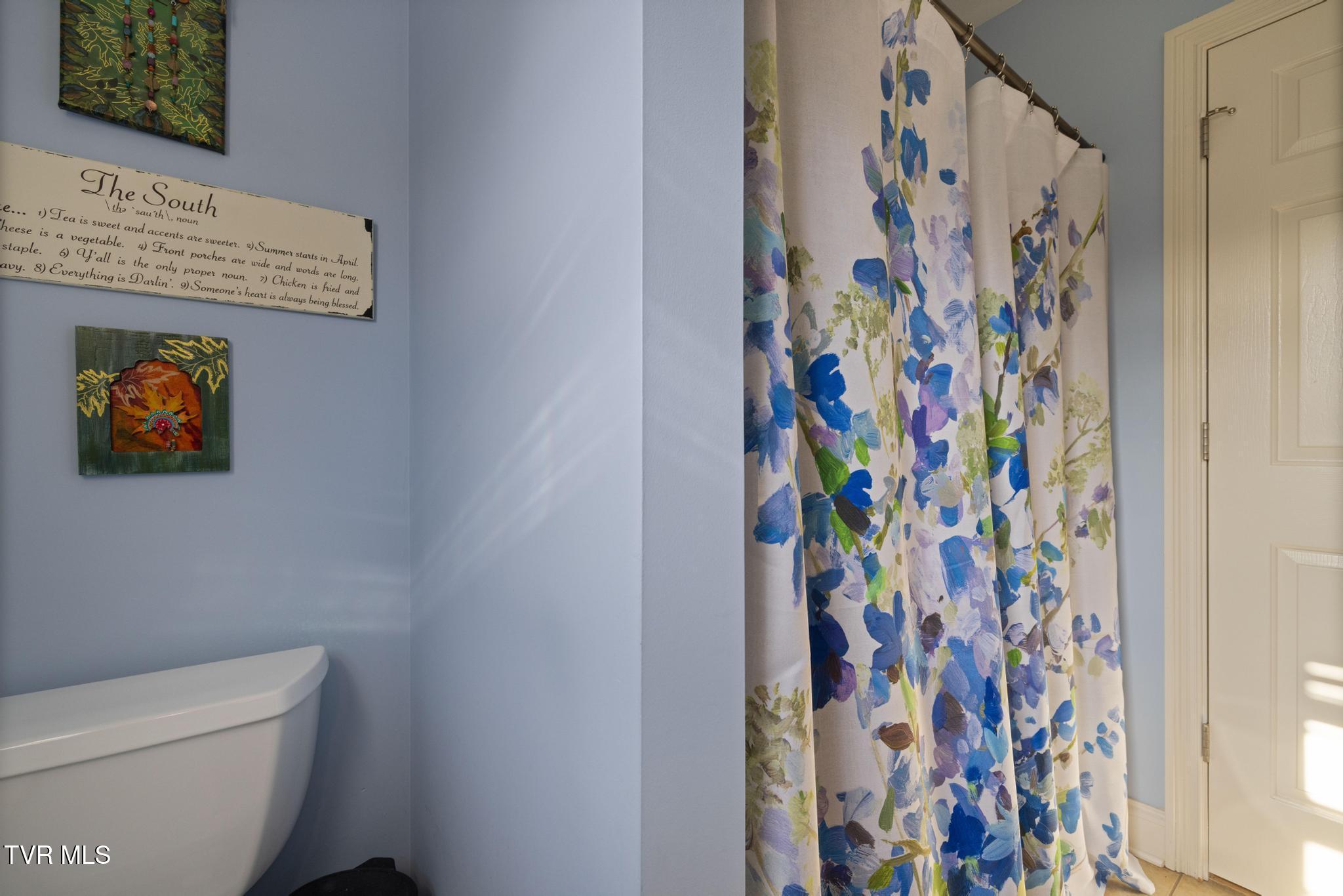 290 Telford New Victory Road Telford, TN 37690 - Photo 22 of 46 Full bathroom 2