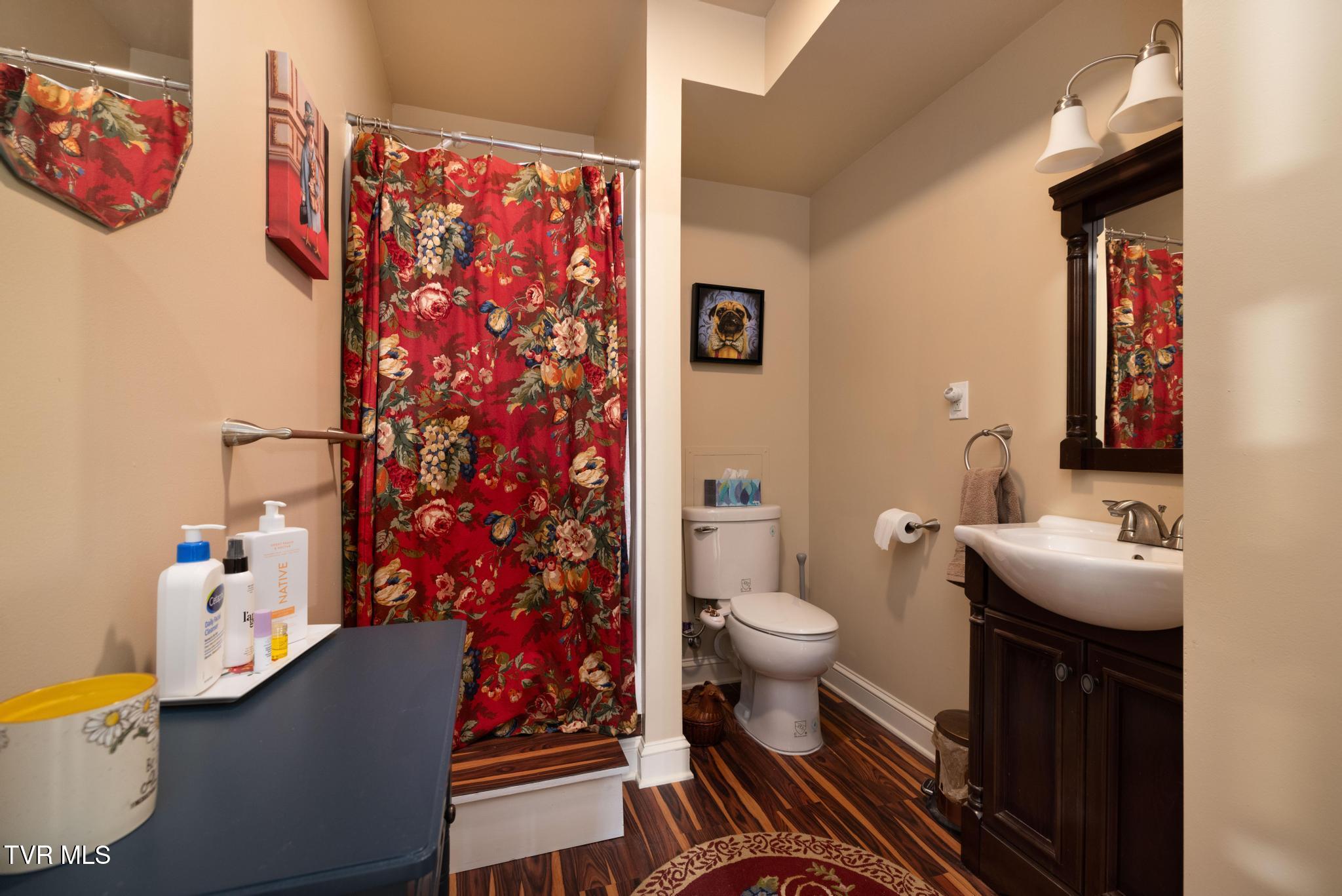 290 Telford New Victory Road Telford, TN 37690 - Photo 28 of 46 Bathroom 3