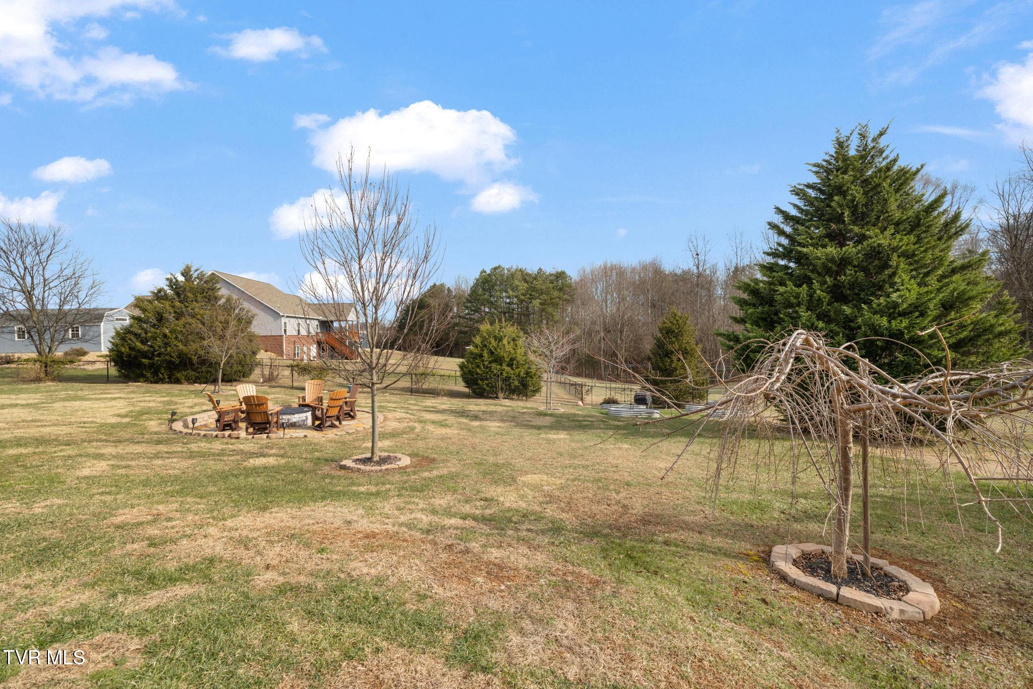 290 Telford New Victory Road Telford, TN 37690 - Photo 35 of 46 Backyard