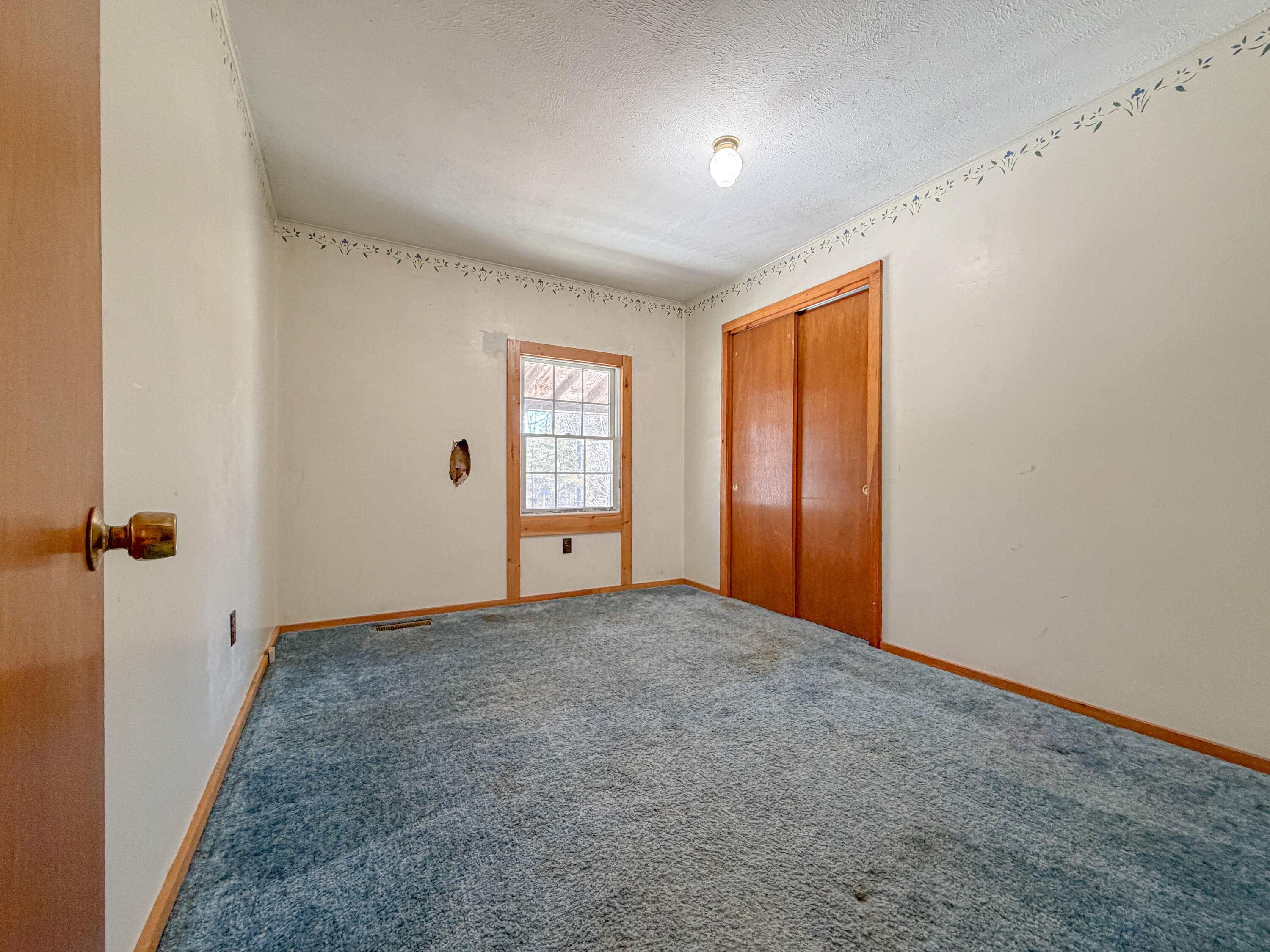 1384 Cape Road Limington, ME 04049 - Photo 40 of 110 1384 Cape Rd Limington -41