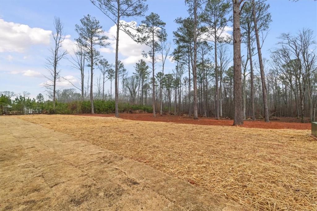 419 Lively Road Waco, GA 30182 - Photo 43 of 48 a swimming pool with green space and palm trees