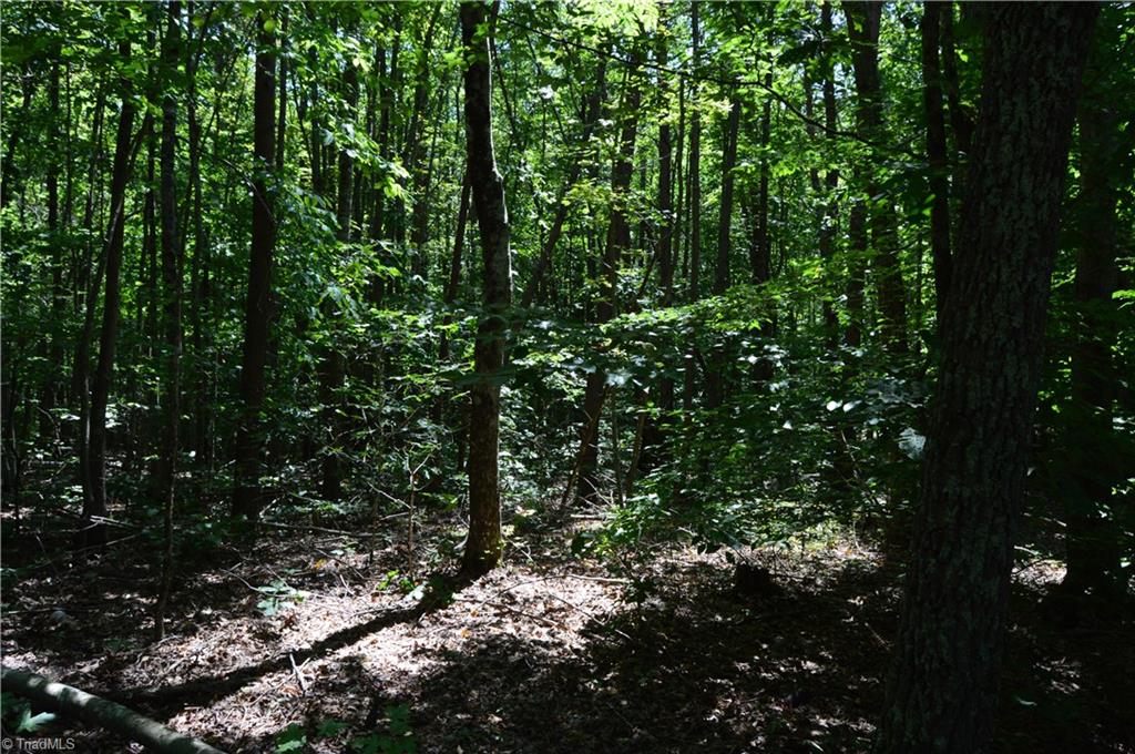 0 Roach Road Reidsville, NC 27320 - Photo 2 of 17