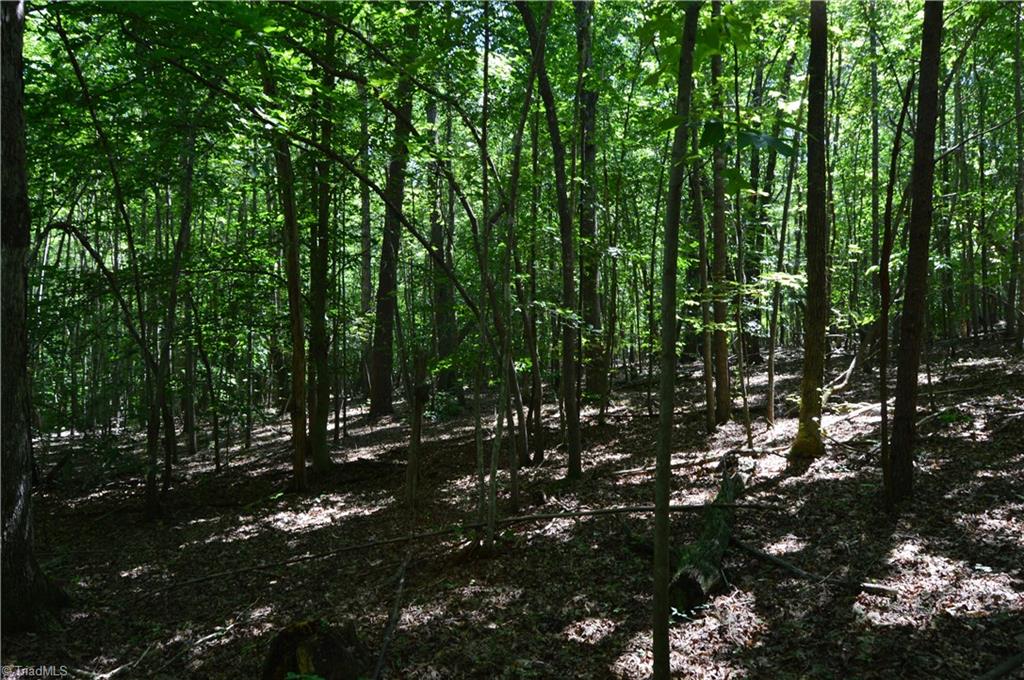 0 Roach Road Reidsville, NC 27320 - Photo 11 of 17