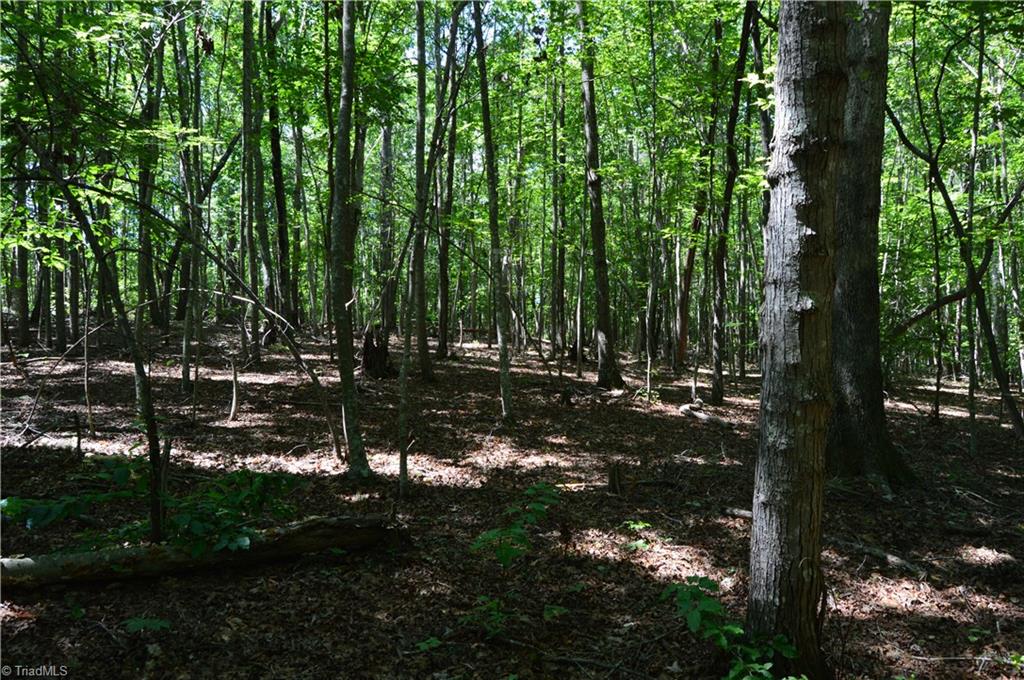 0 Roach Road Reidsville, NC 27320 - Photo 12 of 17