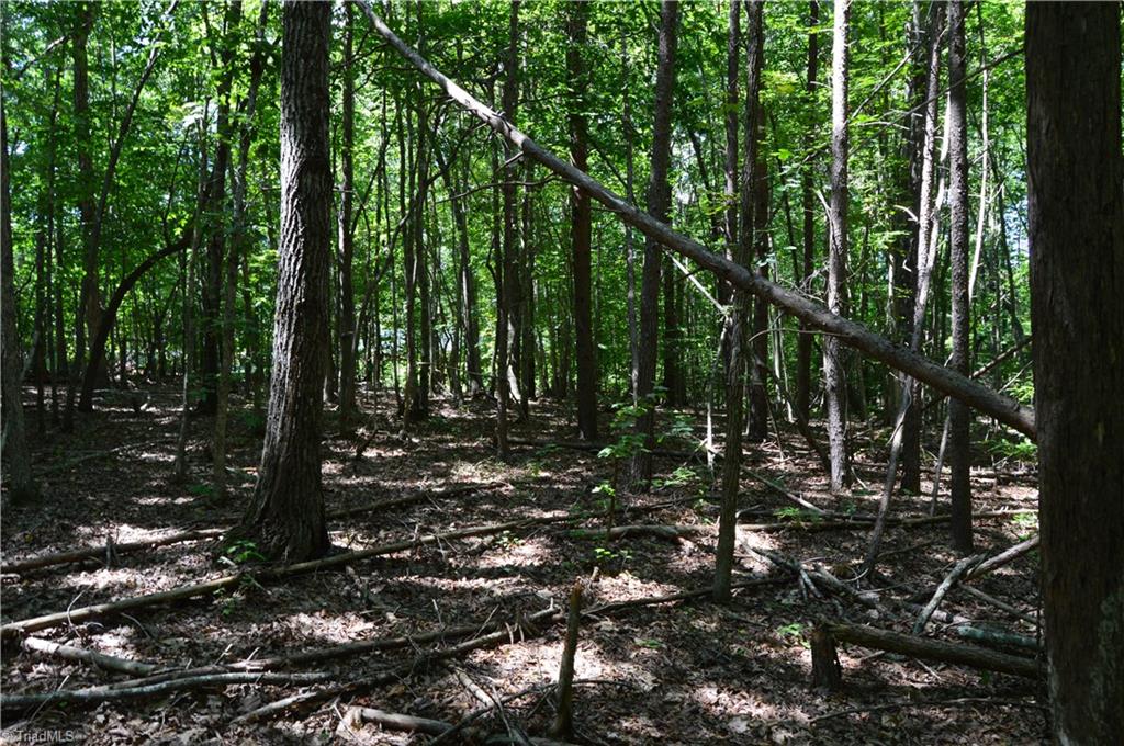 0 Roach Road Reidsville, NC 27320 - Photo 13 of 17