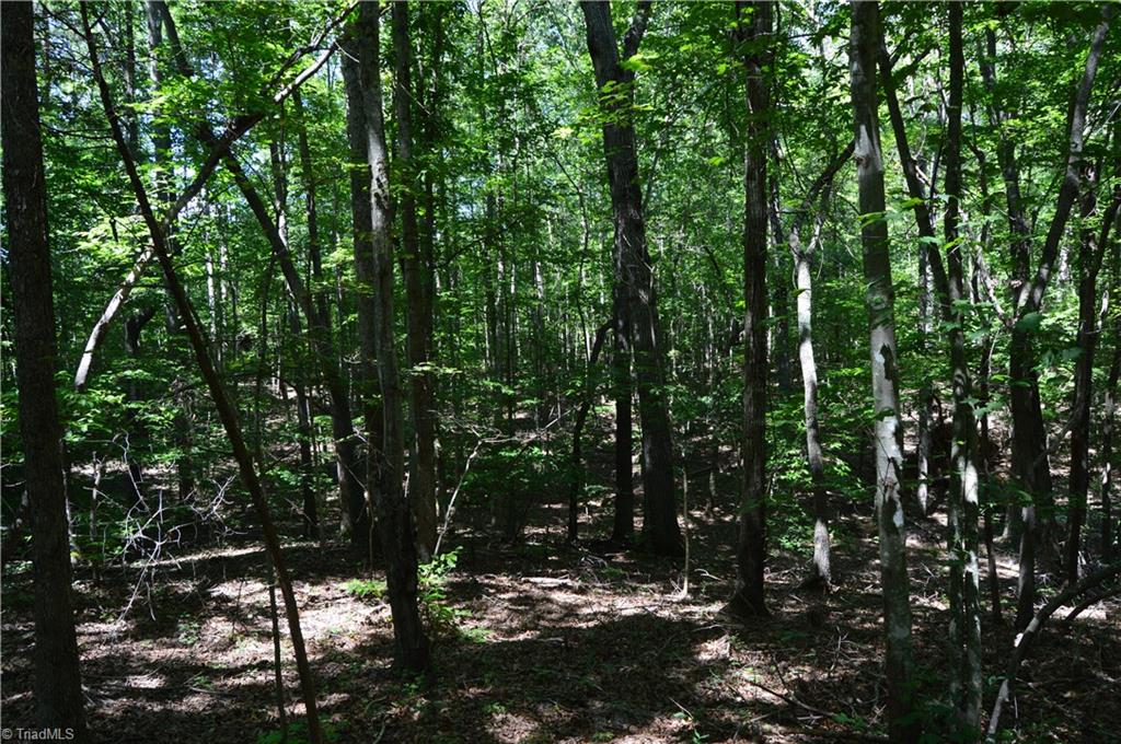 0 Roach Road Reidsville, NC 27320 - Photo 14 of 17