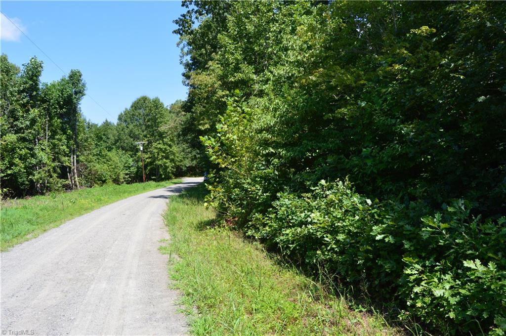 0 Roach Road Reidsville, NC 27320 - Photo 15 of 17