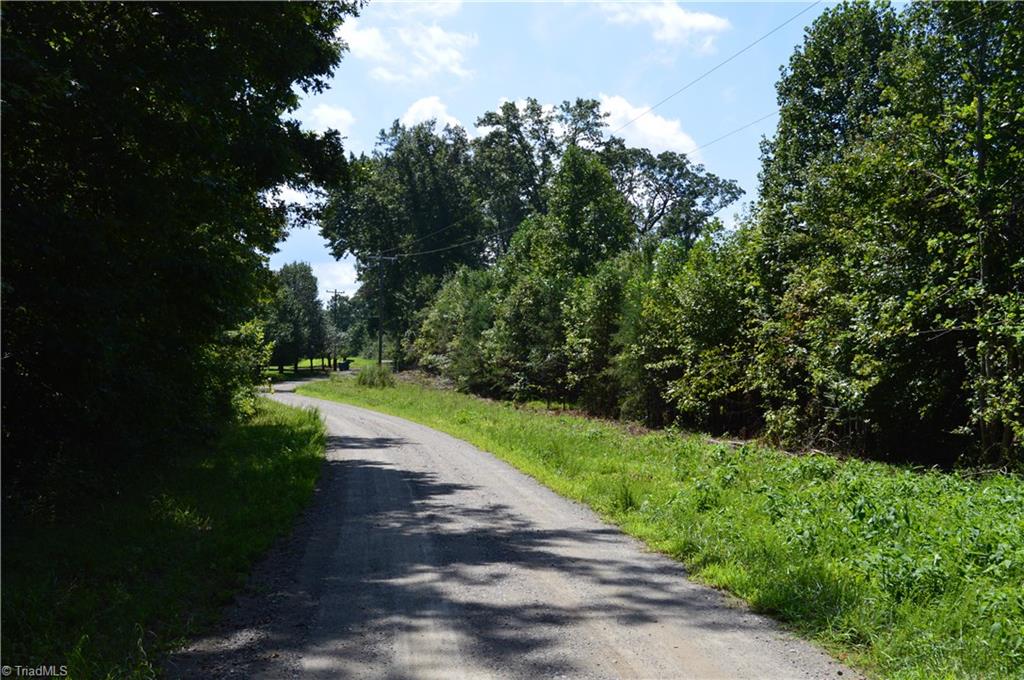 0 Roach Road Reidsville, NC 27320 - Photo 16 of 17