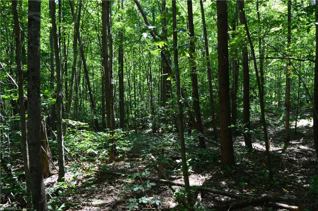 0 Roach Road Reidsville, NC 27320 - Photo 3 of 17