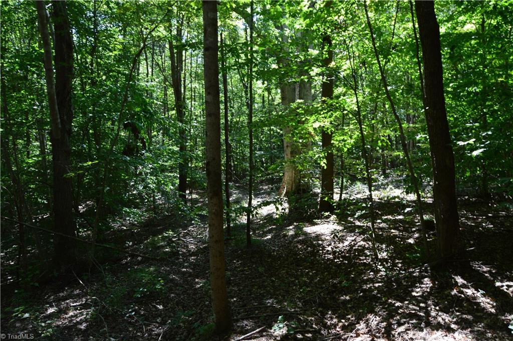 0 Roach Road Reidsville, NC 27320 - Photo 4 of 17