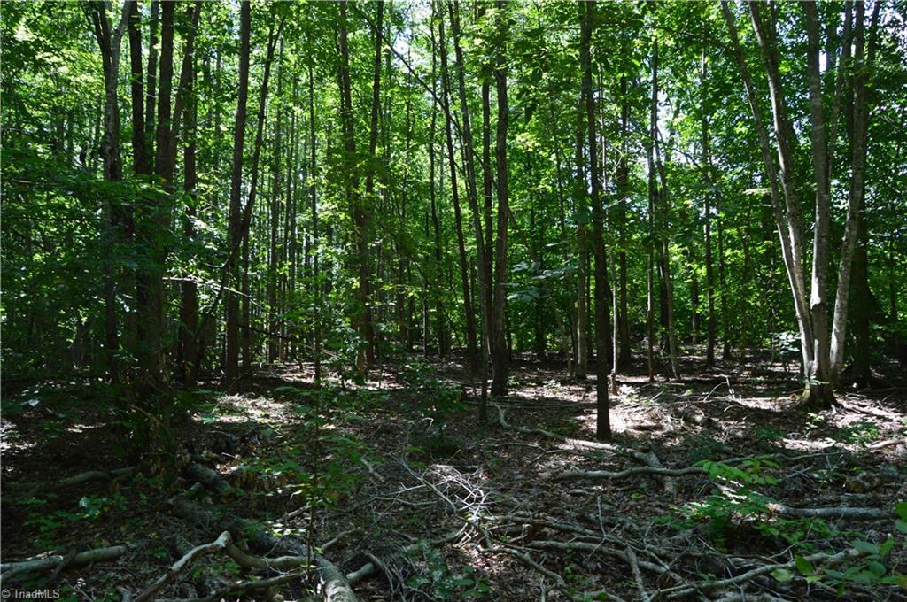 0 Roach Road Reidsville, NC 27320 - Photo 5 of 17