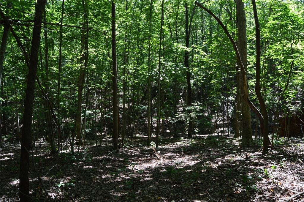 0 Roach Road Reidsville, NC 27320 - Photo 7 of 17